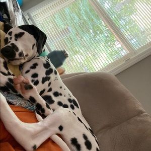 Meet your Posher, Mario